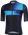 Color image