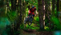 Bild MTB