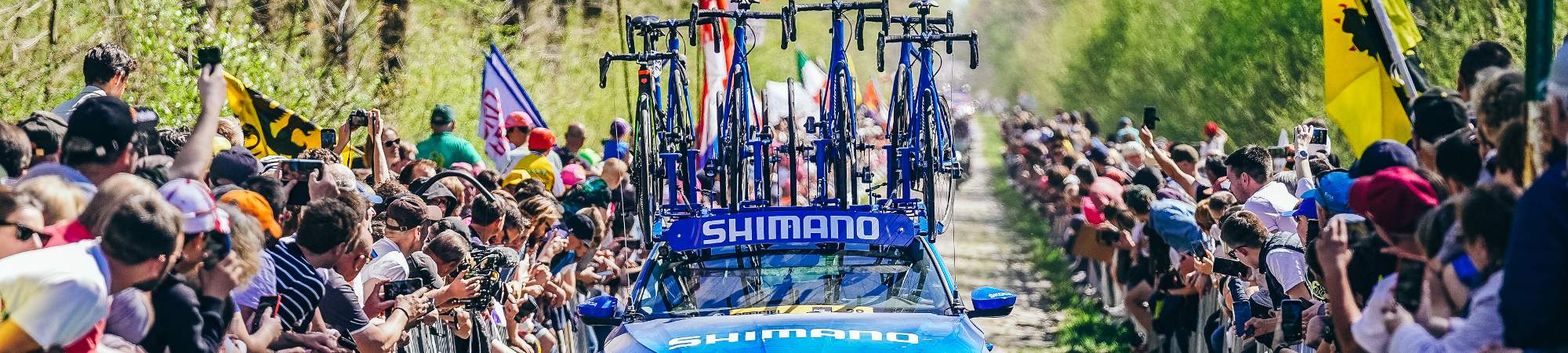 Shimano — Nauka o człowieku